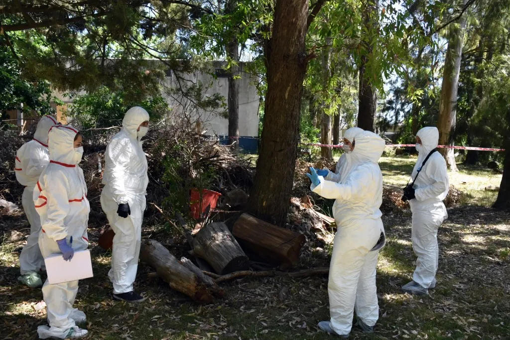 ucalp-criminalistica